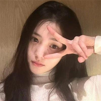 同居人是猫